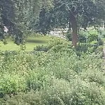 Am Kanal * Kilonia